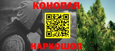 индика Рузаевка