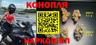 МДПВ Рыбинск