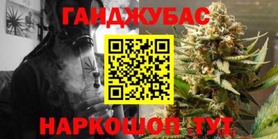индика Рузаевка