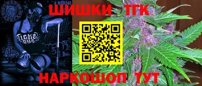 МДПВ Рыбинск