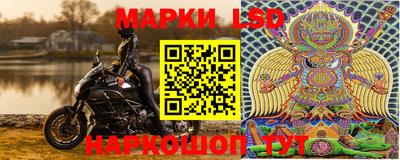 индика Рузаевка