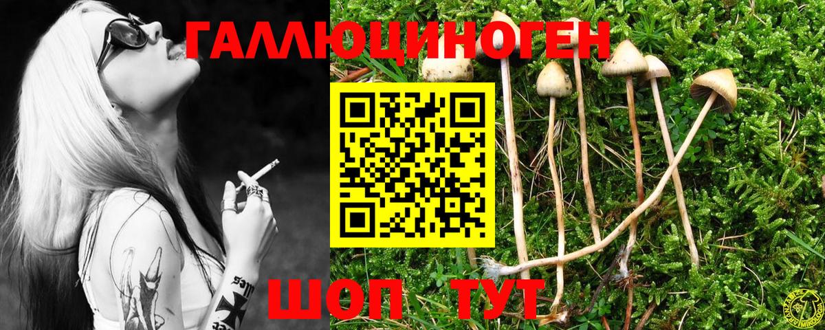 Славгород  Псилоцибиновые грибы GOLDEN TEACHER  Вход с VPN 